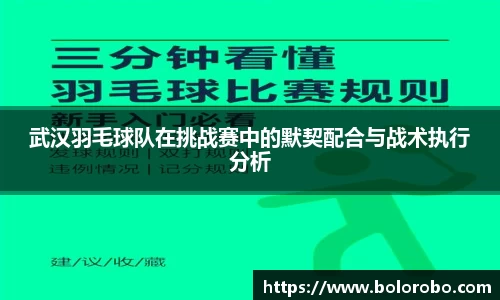 武汉羽毛球队在挑战赛中的默契配合与战术执行分析