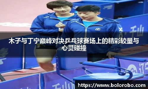 木子与丁宁巅峰对决乒乓球赛场上的精彩较量与心灵碰撞